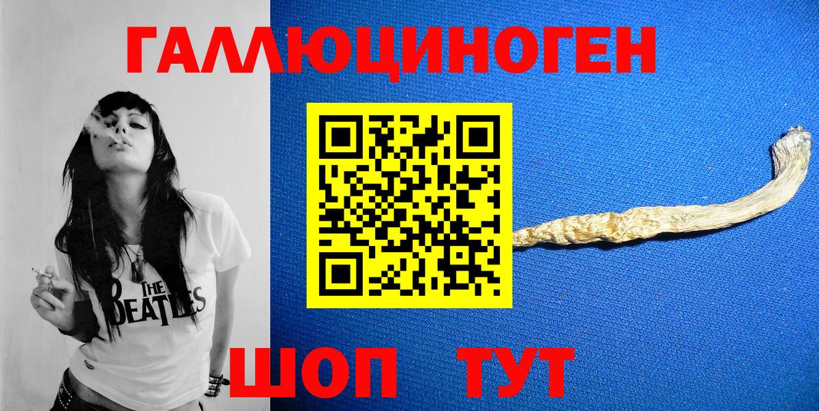 Галлюциногенные грибы Psilocybe Пушкино