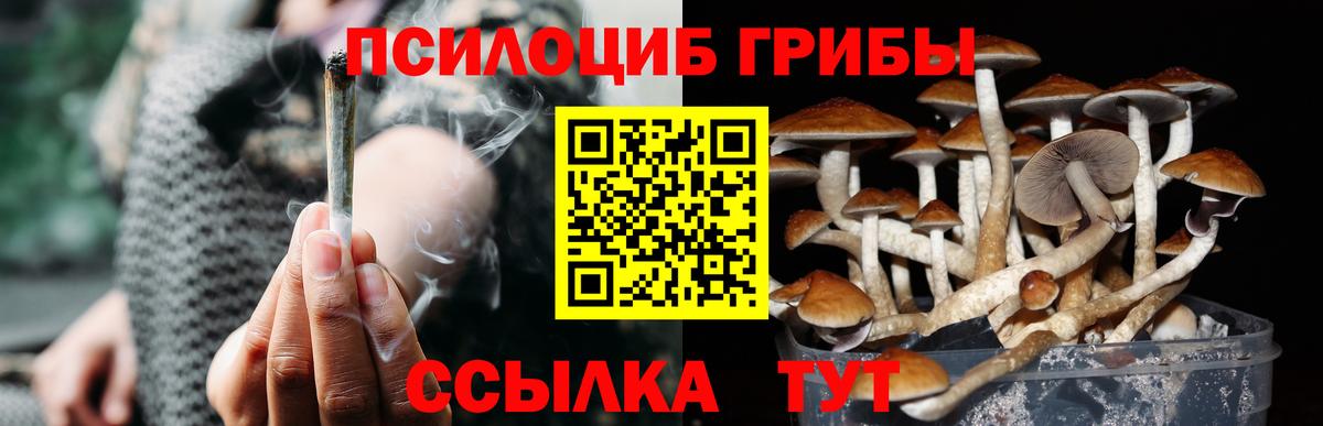 Псилоцибиновые грибы ЛСД  Вход с VPN  купить  сайты  Пушкино 